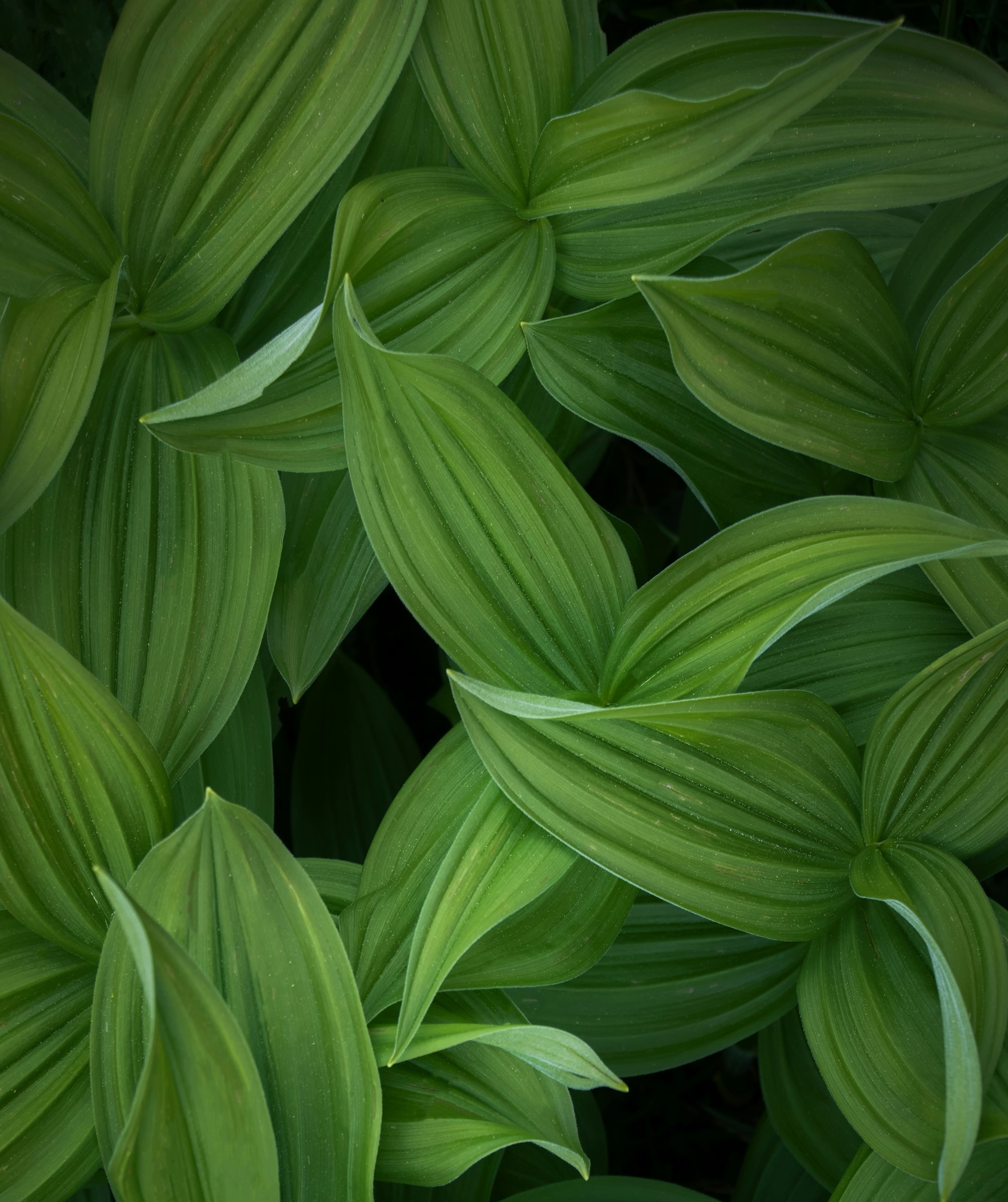 AR Finanzberatung Portrait